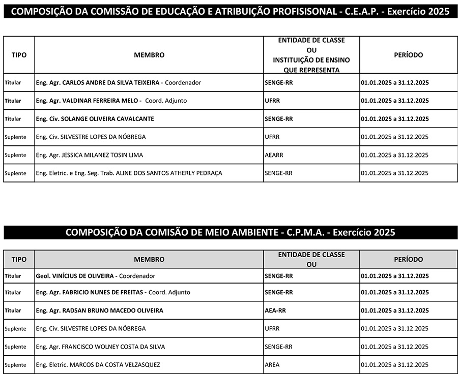 COMPOSICAO Comissoes 2025 3